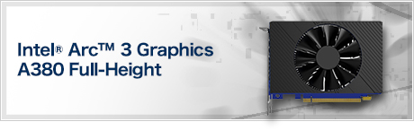 Intel® Arc™ 3 Graphics A380 Full-Height