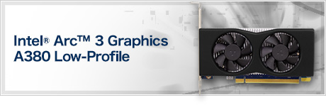 Intel® Arc™ 3 Graphics A380 Low-Profile