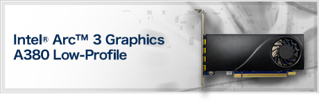 Intel® Arc™ 3 Graphics A380 Low-Profile